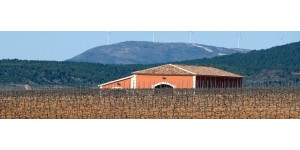 Bodega Altolandon