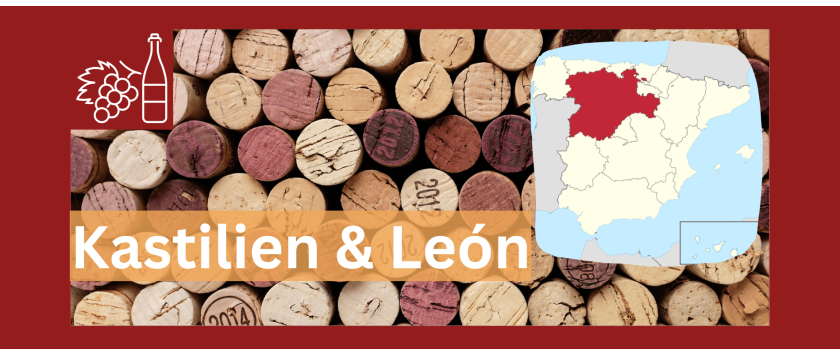 Wein aus Kastilien und León