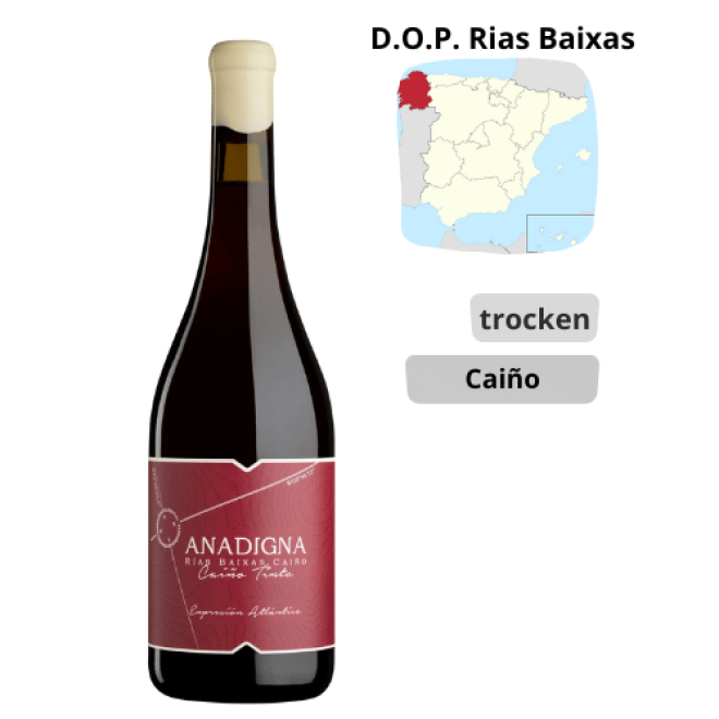 Anadigna - Caiño Tinto