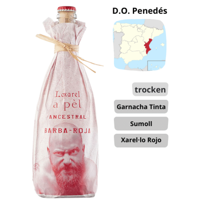 Loxarel - a pèl Ancestral Barba-Roja