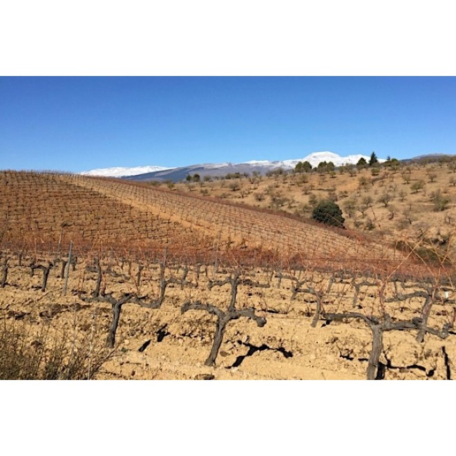 Bodega Verdevique - Brut Nature - Bio Espumoso