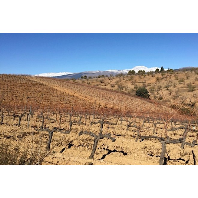 Bodega Verdevique - La Lobera - 2018