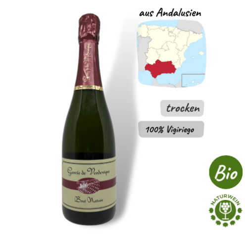 Bodega Verdevique - Brut Nature - Bio Espumoso