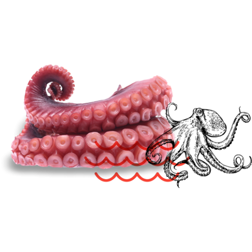 Zallo - Pulpo in Olivenöl